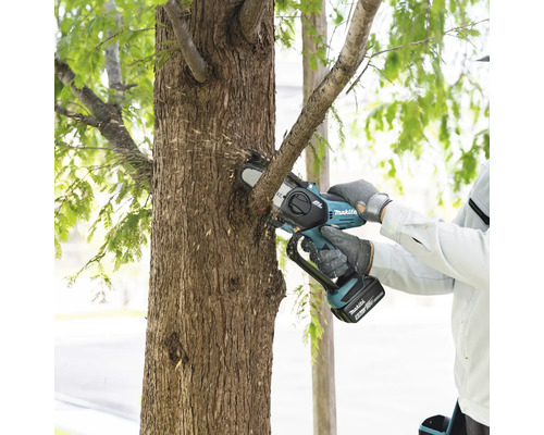 Drujba cu acumulator tăind o ramură dintr-un copac