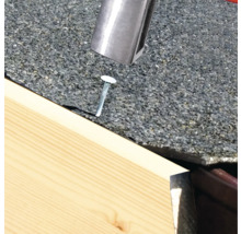 Set cuie acoperiș 1000 bucăți Connex 2,8x12 mm-thumb-2 Set cuie acoperiș 1000 bucăți Connex 2,8x12 mm-thumb-2