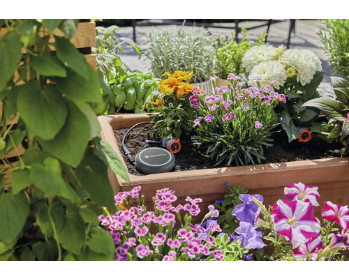 Sistem de control al irigațiilor Gardena Smart într-o jardinieră cu diverse plante