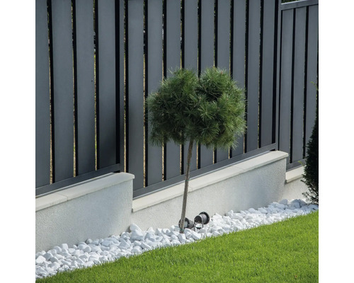 Scenă de grădină cu gard, arbore ornamental, gazon și pietre decorative