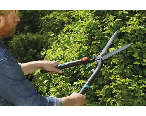 O persoană taie un gard viu cu o foarfecă de gard viu.