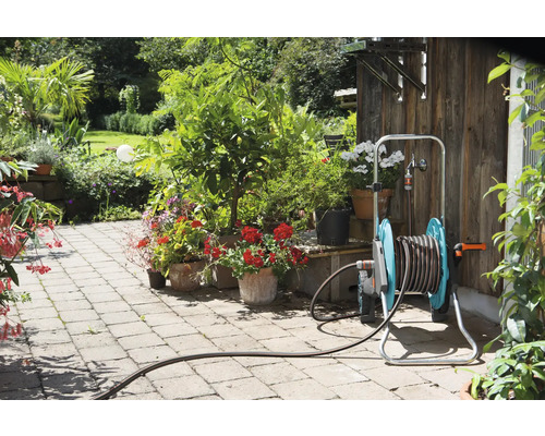 Scenă de grădină cu cărucior pentru furtun, plante și potecă de piatră