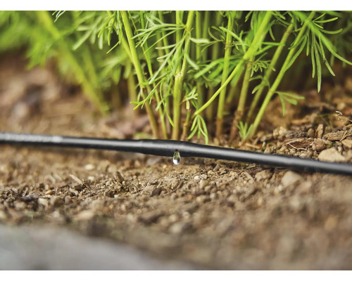 Furtun de irigare prin picurare pentru udarea grădinii cu o picătură de apă