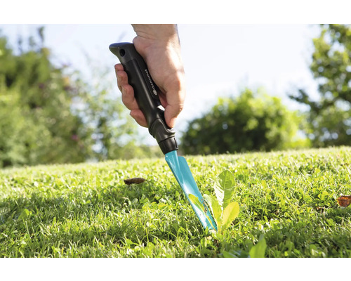 Săpăligă de grădină utilizată pentru îndepărtarea buruienilor din gazon.