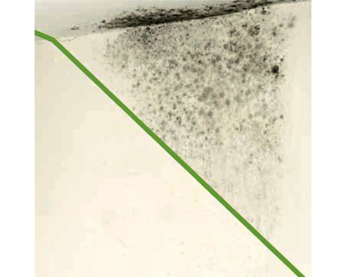 Perete cu mucegai în interior