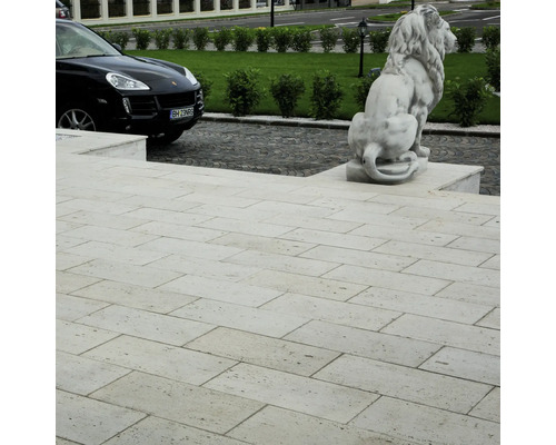 Terasa cu plăci de piatră, statuie de leu și mașină