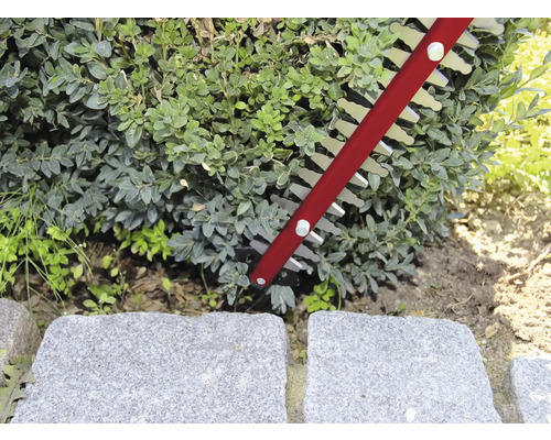 Foarfecă de tuns gard viu care taie un gard viu