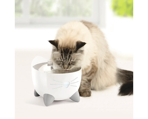 Pisică bea dintr-o fântână pentru pisici cu design de pisică