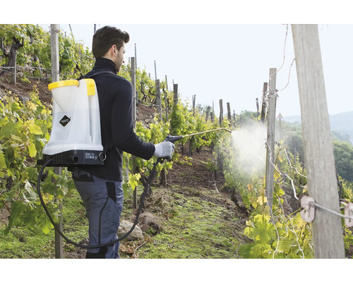 Bărbat folosind un pulverizator de spate în vie pentru combaterea dăunătorilor.