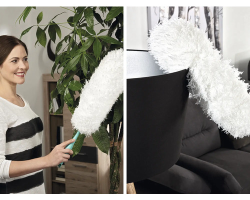 Femeie curăță o plantă de interior cu un pămătuf de praf