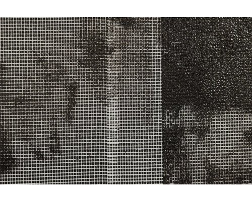 Prim-plan cu plasă de insecte