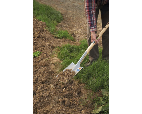 O persoană sapă pământul cu o cazma.