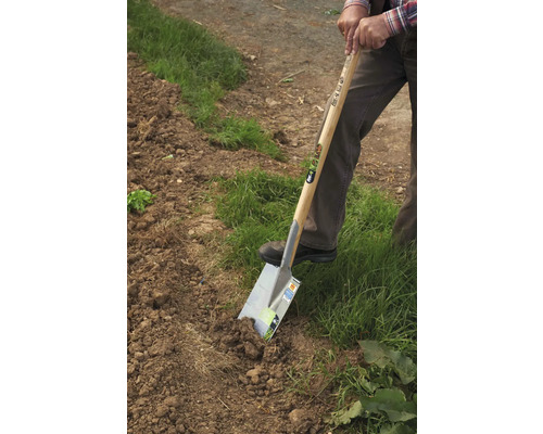 Cazma de grădină folosită la săpatul pământului