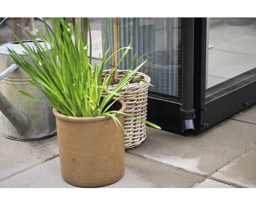 Fotografie de exterior cu plante în ghivece și stropitoare în fața unei sere