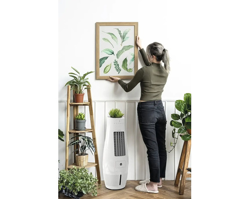 Femeie atârnând pe perete un tablou cu motive vegetale într-o ramă de lemn, răcitor de aer cu atașament pentru plante în prim-plan.