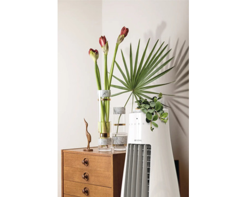 Scenă decorativă cu un ventilator tip turn, flori și o comodă din lemn