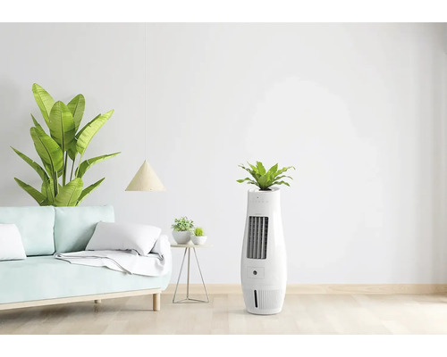 Interior cu canapea, măsuță laterală și răcitor de aer cu plantă