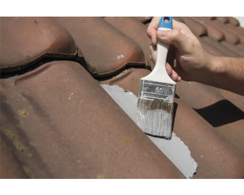 Vopsirea țiglelor cu pensula