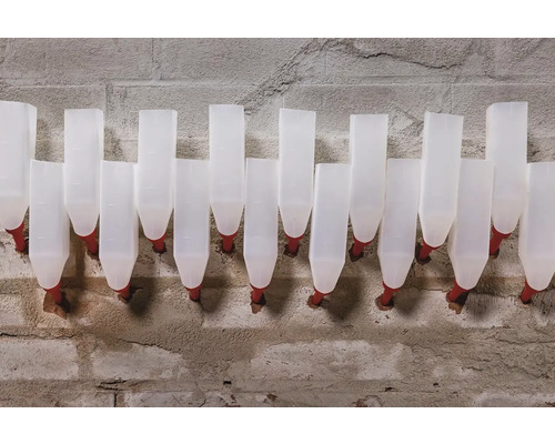 Mai multe adăpătoare albe pentru animale sunt fixate pe un perete de beton.