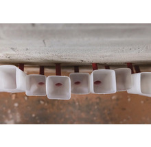 Mai multe hoteluri pentru insecte din plastic sunt fixate pe un perete.