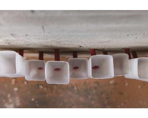 Mai multe hoteluri pentru insecte din plastic sunt fixate pe un perete.