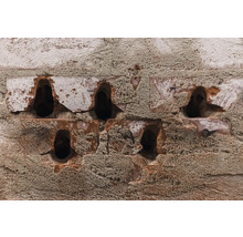 Prim-plan cu un zid de cărămidă cu găuri