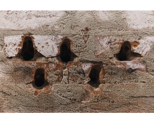 Prim-plan cu un zid de cărămidă cu găuri