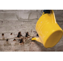 O stropitoare galbenă udă un zid de cărămidă.