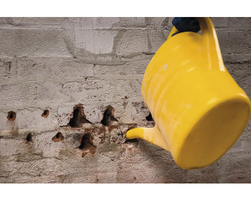 O stropitoare galbenă udă un zid de cărămidă.