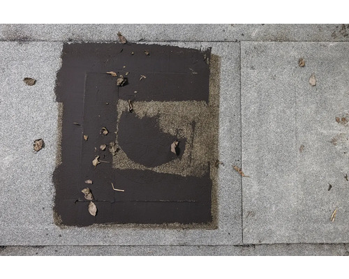 Pavele de beton cu reparație de bitum și frunze