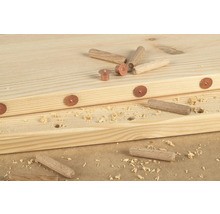 Punctatoare pentru dibluri lemn Wolfcraft Ø10 mm, pachet 4 bucăți
