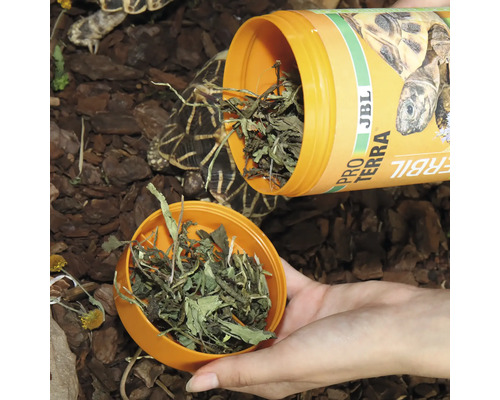 Hrana pentru țestoase JBL ProTerra Herbil este turnată într-un capac