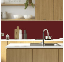 Scenă de bucătărie cu chiuvetă, blat, dulapuri de bucătărie și panou de perete