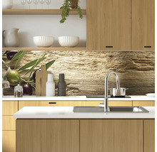 Scenă de bucătărie cu chiuvetă, robinet și perete de protecție cu motiv de măsline