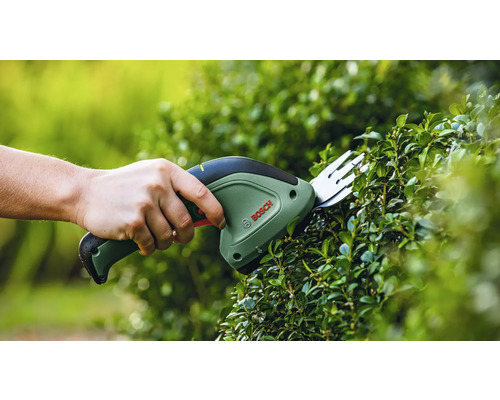 O persoană taie un gard viu cu o foarfecă de arbuști Bosch.