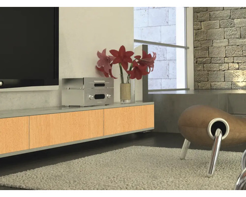 Living cu mobilier TV, aparate electronice și decorațiuni