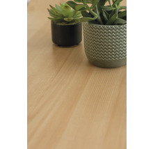 Plante artificiale decorative în ghivece pe o suprafață de lemn.