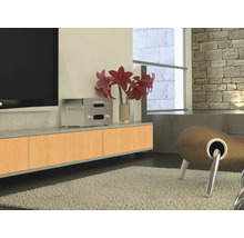 Camera de zi cu televizor, dulap inferior, plantă de interior și fotoliu