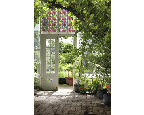 Scenă cu seră, plante și folie decorativă pentru geamuri cu model floral