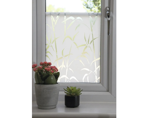 Fereastră cu folie de sticlă mată și model de bambus, decorată cu două plante în ghiveci