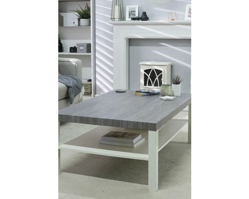 Cameră de zi cu canapea, raft, șemineu și măsuță de cafea cu raft