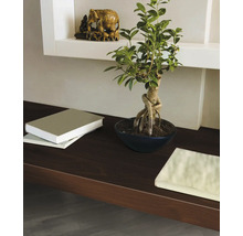 Raft decorativ cu bonsai, cărți și statuie de elefant pentru design interior.