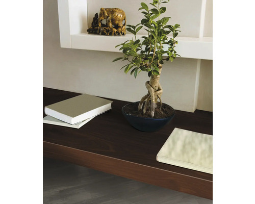 Raft decorativ cu bonsai, cărți și statuie de elefant pentru design interior.