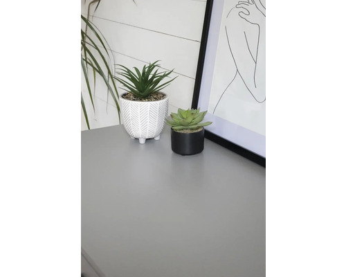 Plante artificiale decorative în ghivece pe o masă