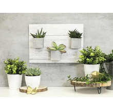 Autocolant mobilă d-c-fix® Shabby Wood aspect lemn 67,5x200 cm