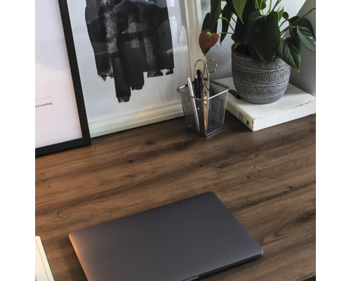 Prim-plan al unui birou cu un laptop, rechizite de birou, o plantă de interior și imagini înrămate.