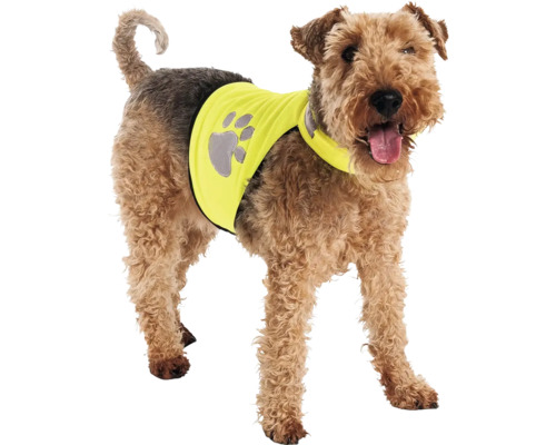 Câine cu vestă de siguranță cu amprentă de labă