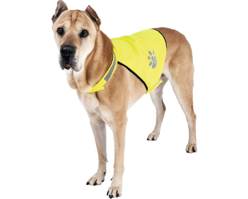 Câine cu vestă de siguranță pentru o vizibilitate mai bună