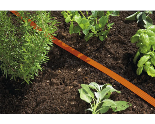 Prim-plan cu o grădină cu ierburi și un furtun de irigare