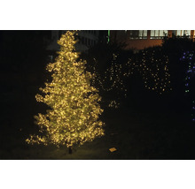 Brad împodobit iluminat în aer liber